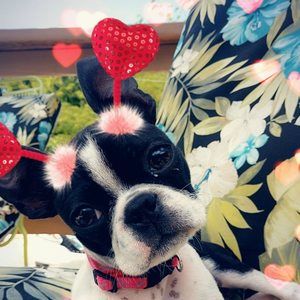 Meet your Posher, Teresa